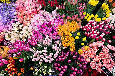 重磅！《命运2》普通话配音将与光陨之秋同步上线